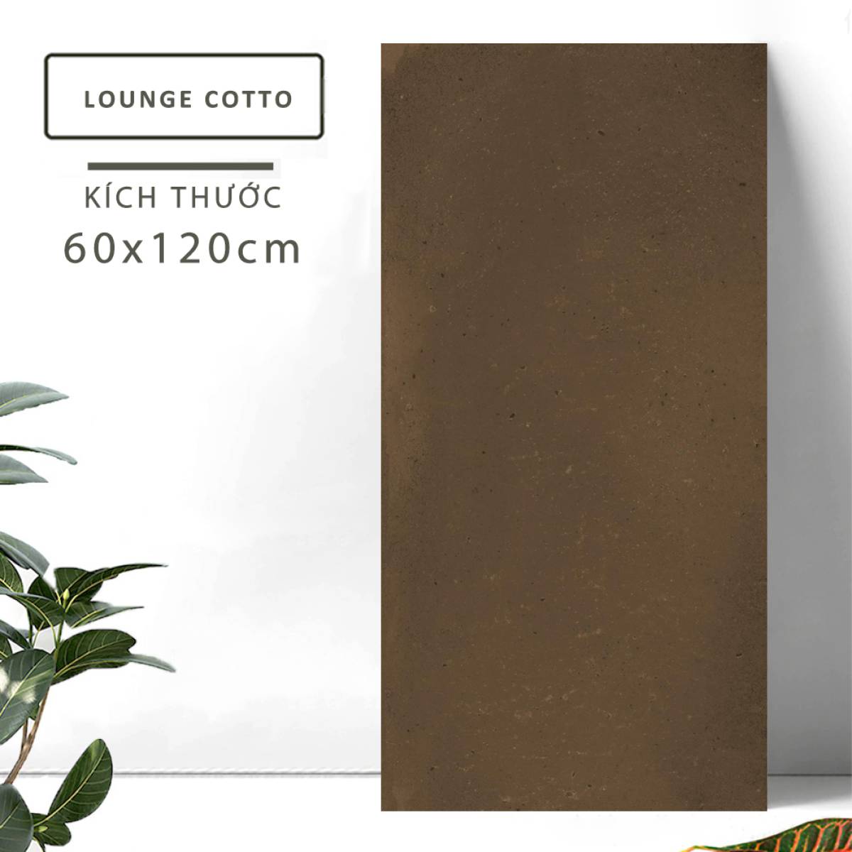 Sản phẩm gạch khổ lớn men matt Nessa Ấn Độ 600x1200mm LOUNGE COTTO