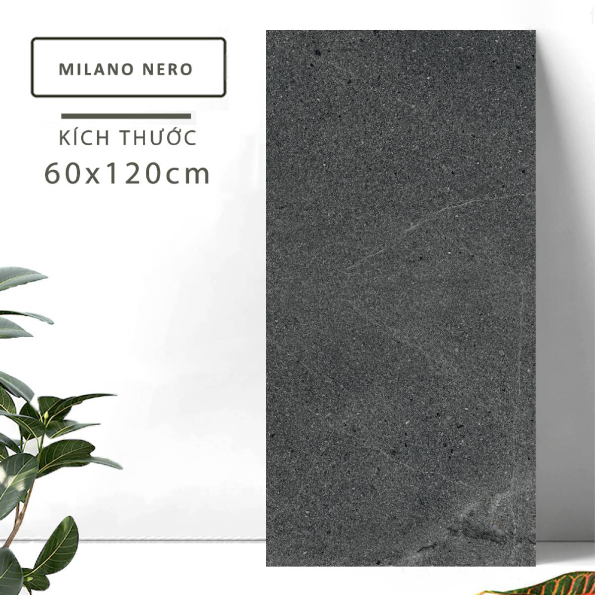 Sản phẩm gạch khổ lớn men matt Nessa Ấn Độ 600x1200mm MILANO NERO