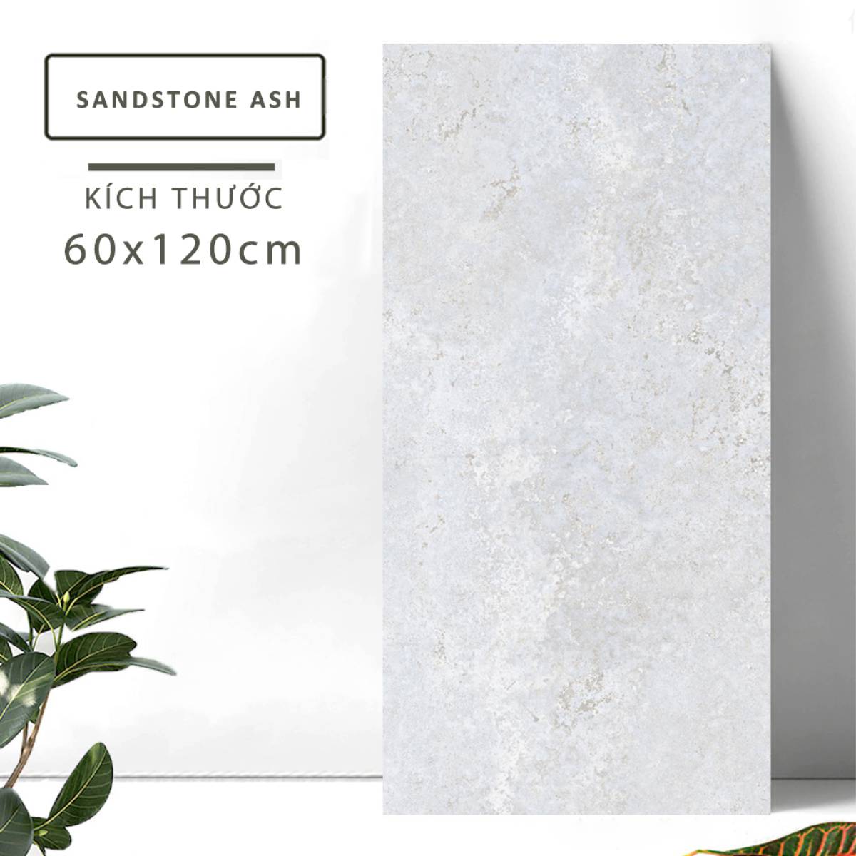 Sản phẩm gạch khổ lớn men matt Nessa Ấn Độ 600x1200mm SANDSTONE ASH