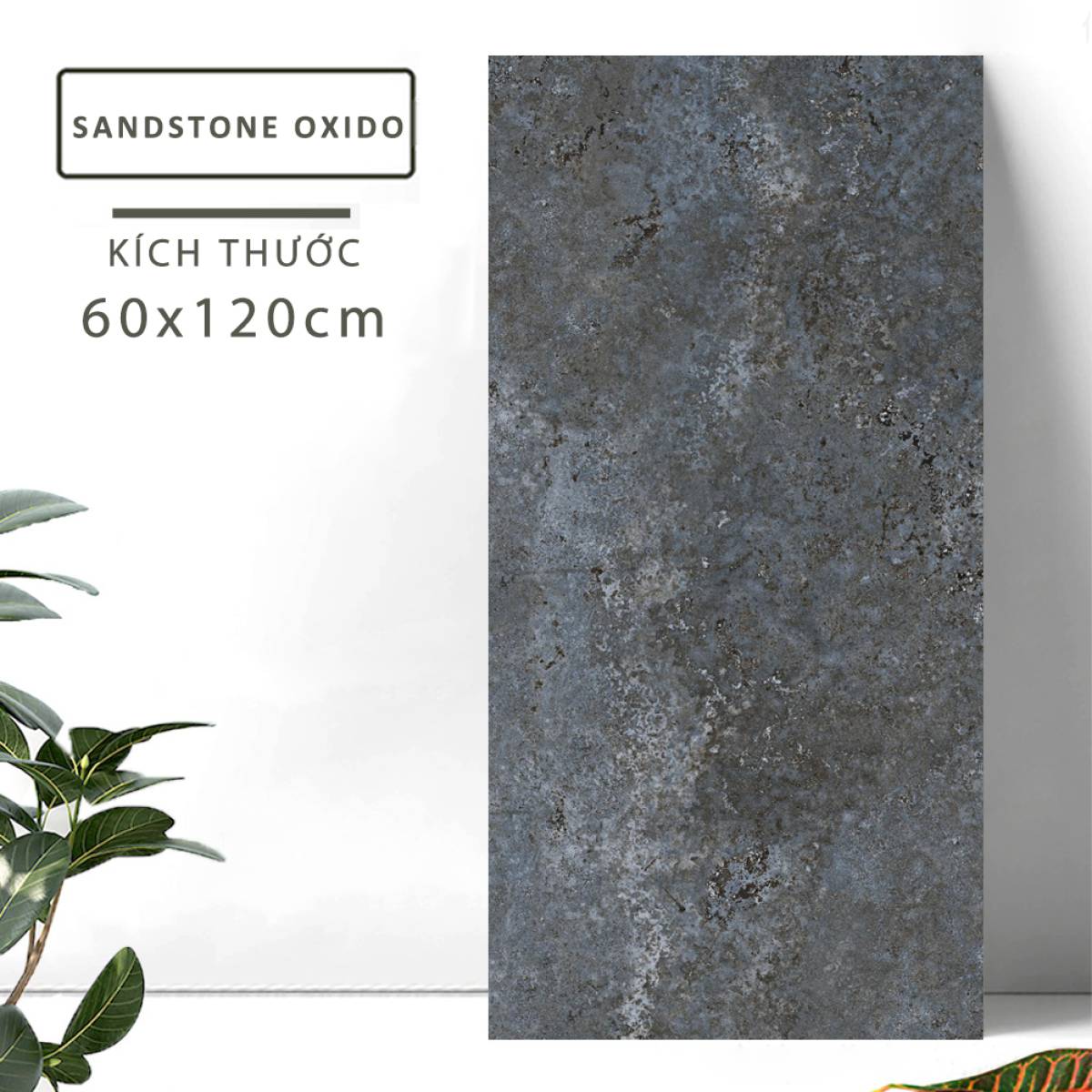 Sản phẩm gạch khổ lớn men matt Nessa Ấn Độ 600x1200mm SANDSTONE OXIDO