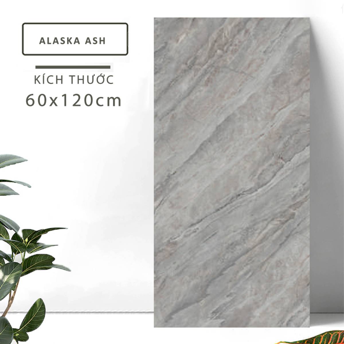 Sản phẩm gạch khổ lớn men bóng Dali Ceramico Ấn Độ 600x1200mm ALASKA ASH