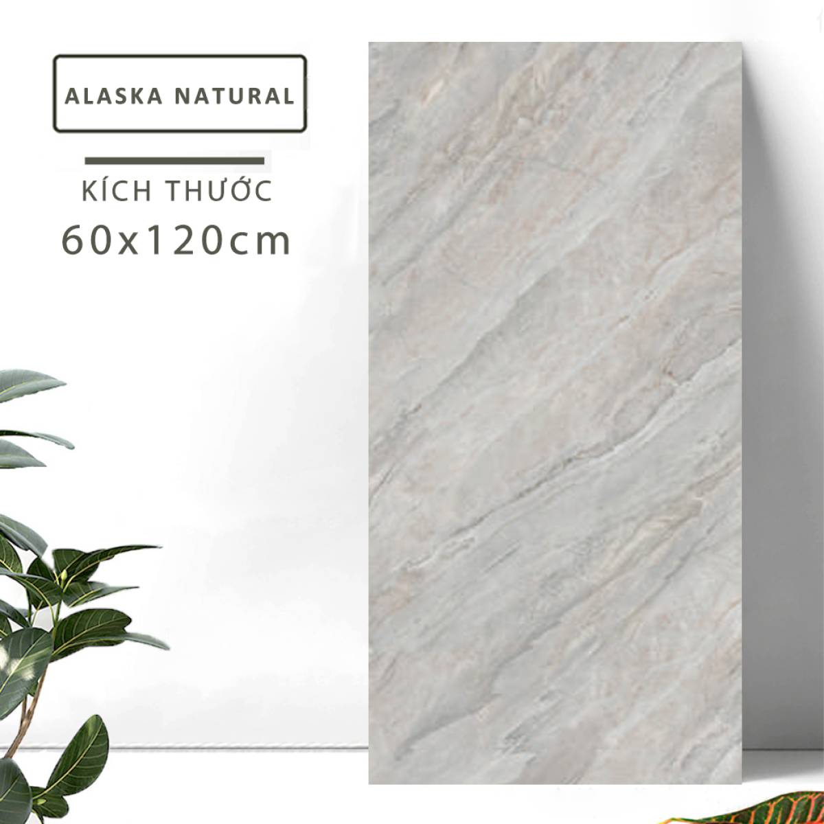 Sản phẩm gạch khổ lớn men bóng Dali Ceramico Ấn Độ 600x1200mm ALASKA NATURAL