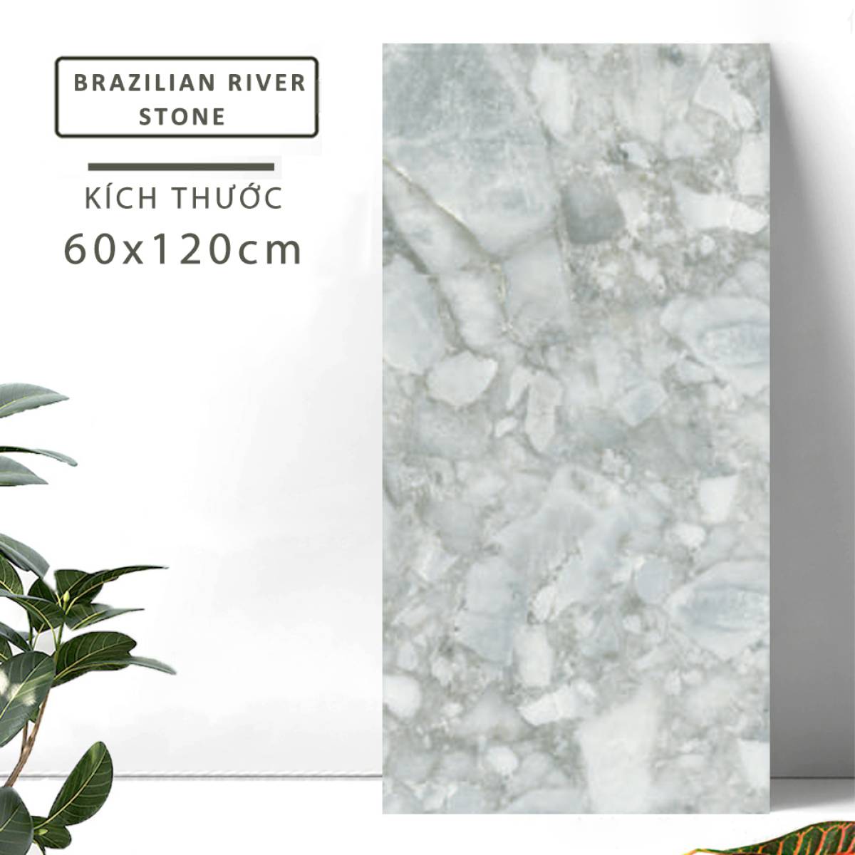 Sản phẩm gạch khổ lớn men bóng Dali Ceramico Ấn Độ 600x1200mm BRAZILIAN RIVER STONE