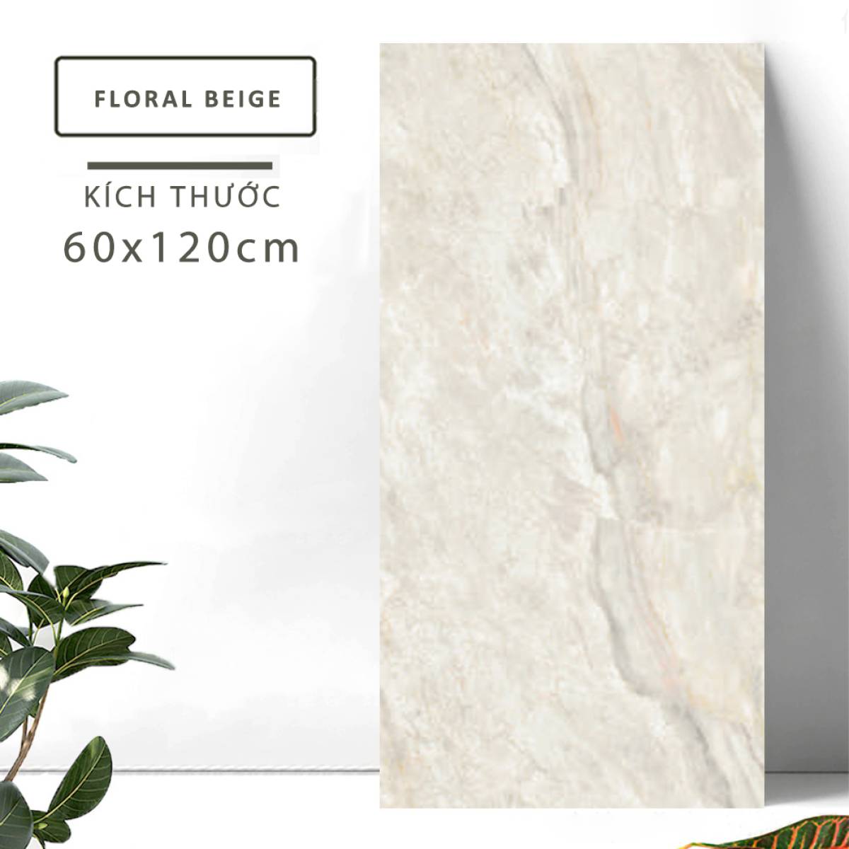 Sản phẩm gạch khổ lớn men bóng Dali Ceramico Ấn Độ 600x1200mm FLORAL BEIGE