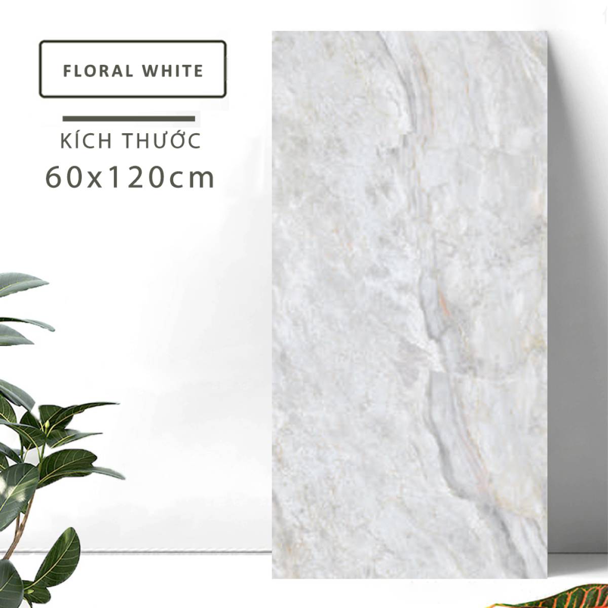 Sản phẩm gạch khổ lớn men bóng Dali Ceramico Ấn Độ 600x1200mm FLORAL WHITE