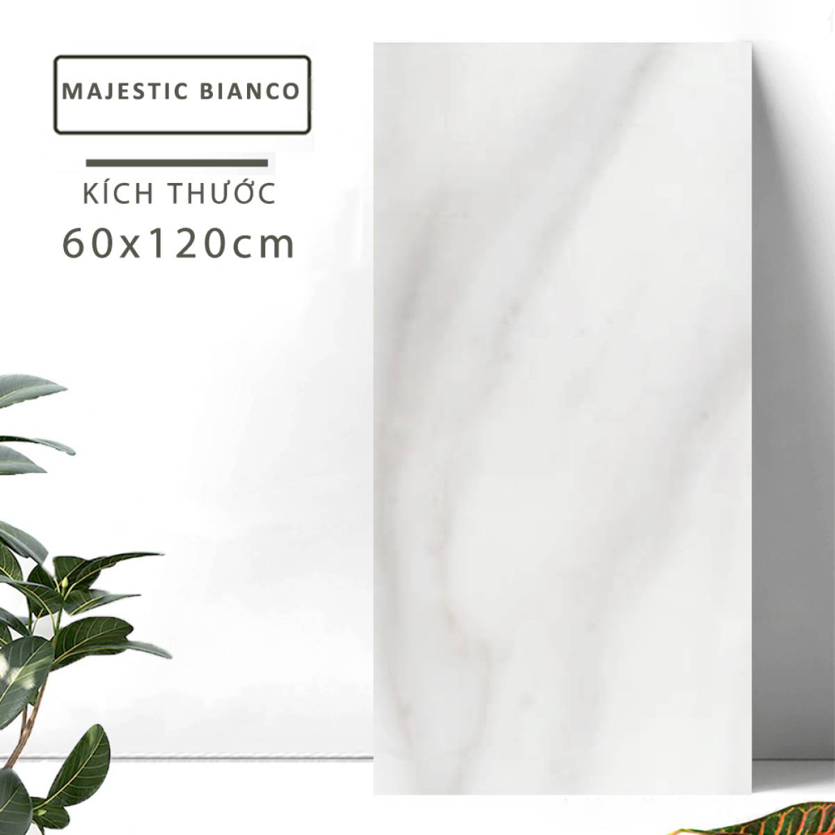 Sản phẩm gạch khổ lớn men bóng Dali Ceramico Ấn Độ 600x1200mm MAJESTIC BIANCO