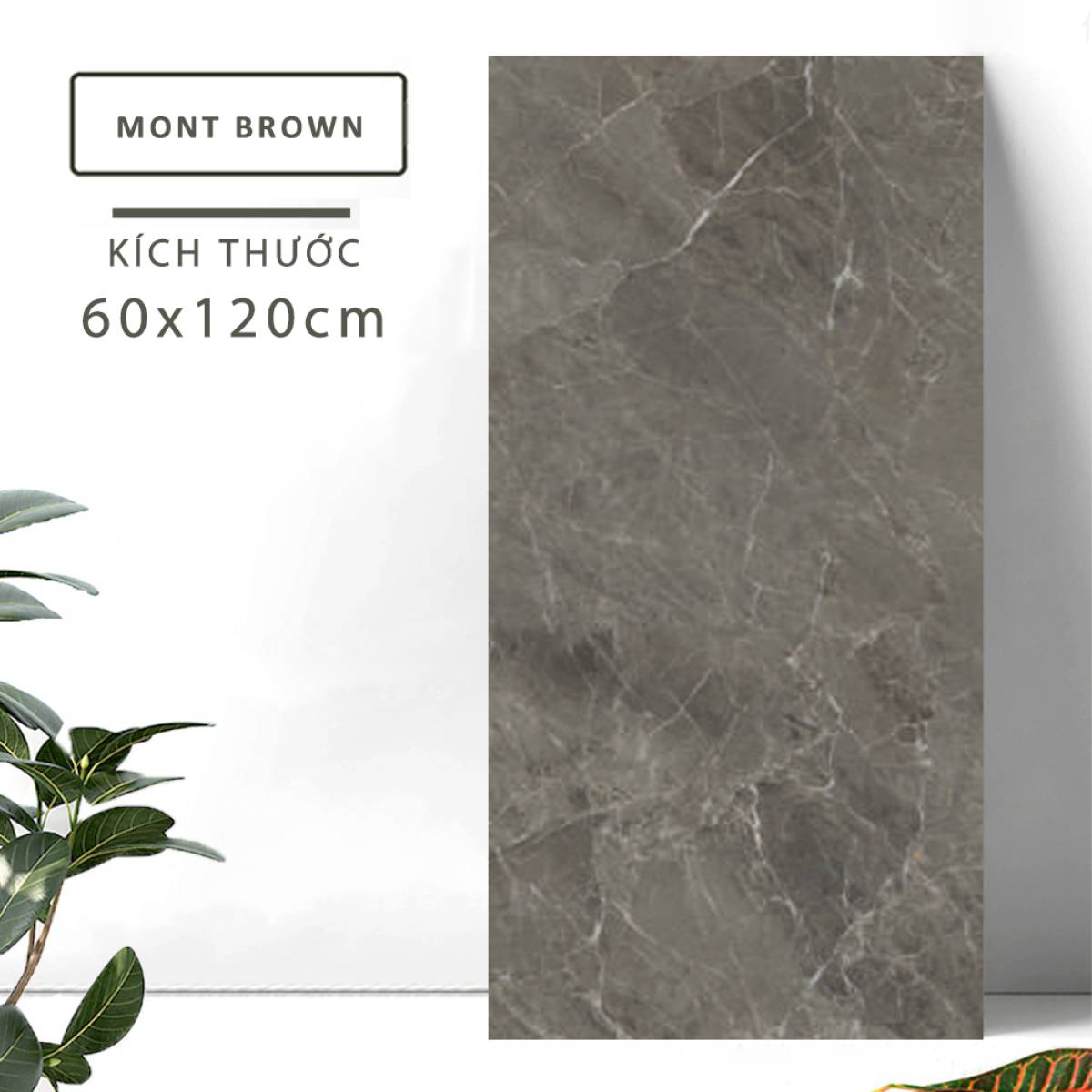 Sản phẩm gạch khổ lớn men bóng Dali Ceramico Ấn Độ 600x1200mm MONT BROWN