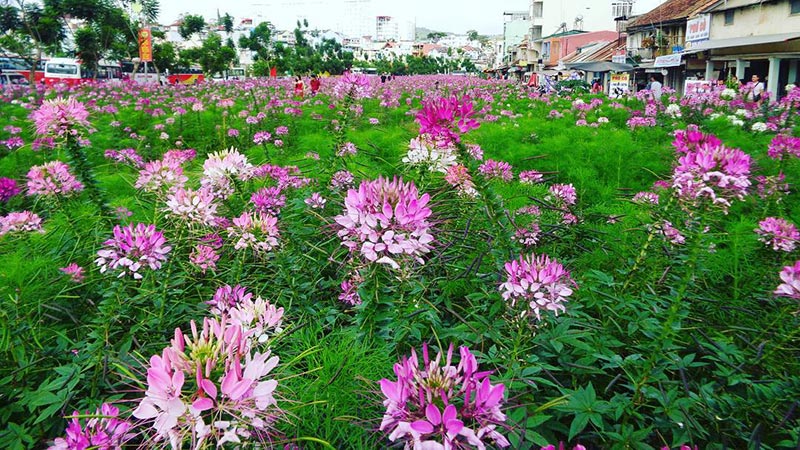 Gạch thông gió