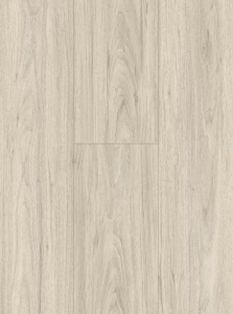 Sàn nhựa Aroma C2081