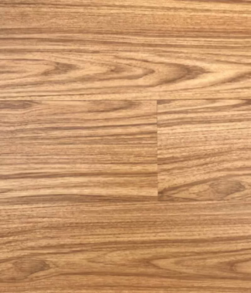 Sàn nhựa dán keo Glotex V256