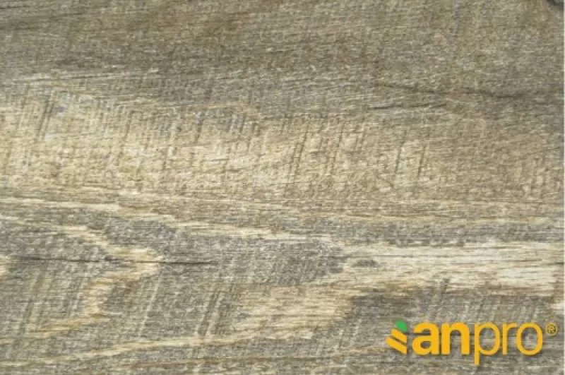 Sàn nhựa Anpro SA138