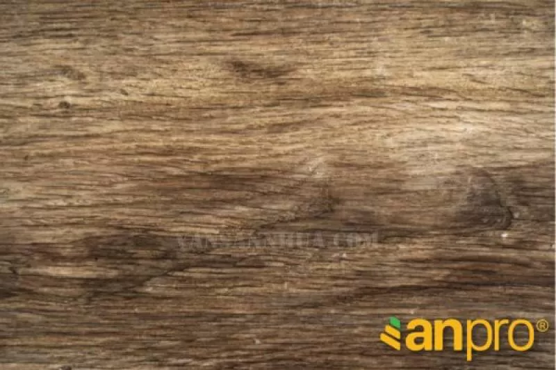 Sàn nhựa Anpro SA149