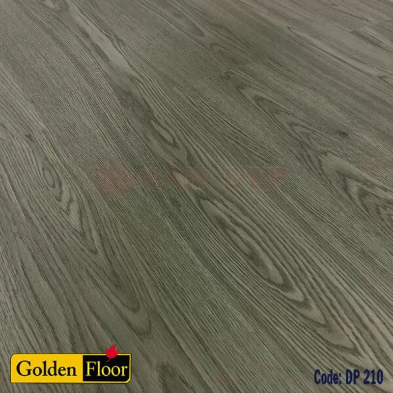 Sàn nhựa dán keo Golden DP210
