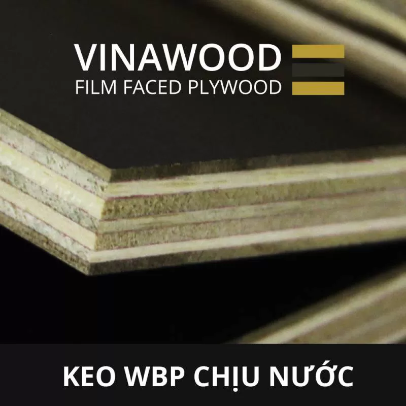 Ván Khuôn Phủ Phim 12 Mm Gỗ Cứng Phim Việt Nam Xuất Khẩu
