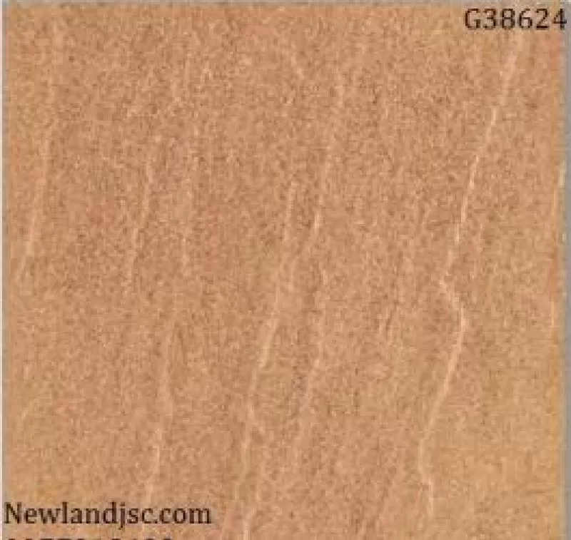 Gạch lát nền Taicera KT 300x300mm MT-G38624