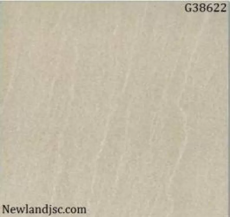 Gạch lát nền Taicera KT 300x300mm MT-G38622