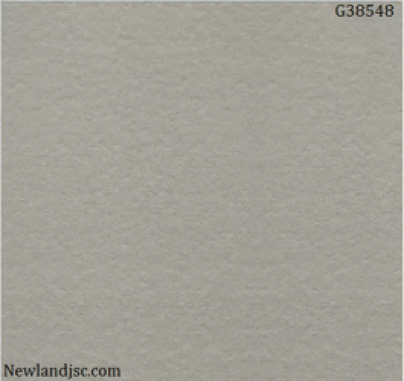 Gạch lát nền Taicera KT 300x300mm MT-G38548