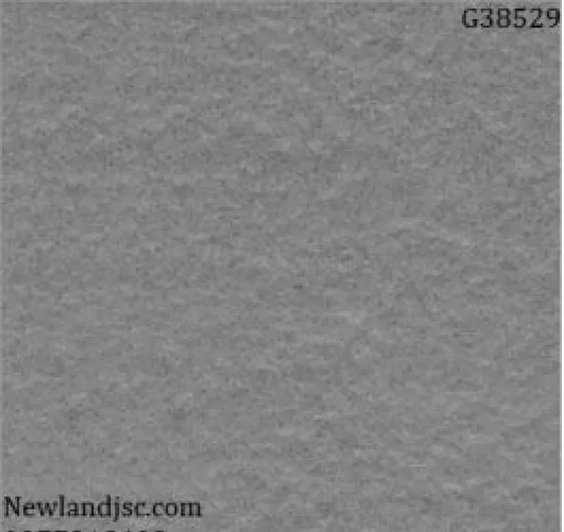 Gạch lát nền Taicera KT 300x300mm MT-G38529