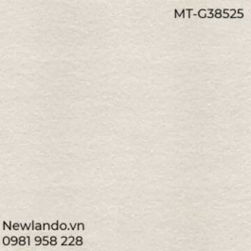 Gạch lát nền Taicera KT 300x300mm MT-G38525