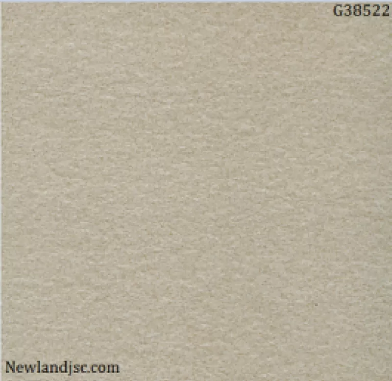 Gạch lát nền Taicera KT 300x300mm MT-G38522