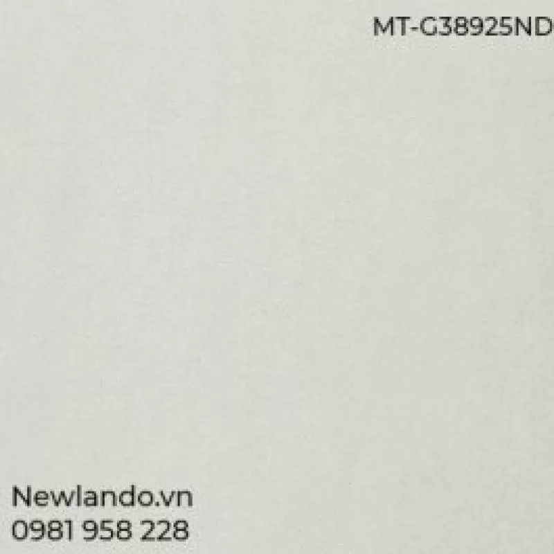 Gạch lát nền Taicera KT 300x300 MT-G38925ND