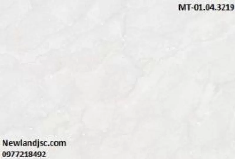 Gạch ốp tường Catalan KT 300x450mm MT-01.04.3219