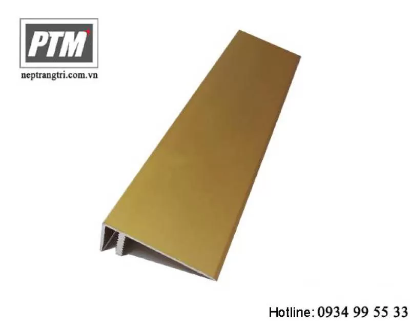 Nhà phân phối Nẹp kết thúc sàn MF12