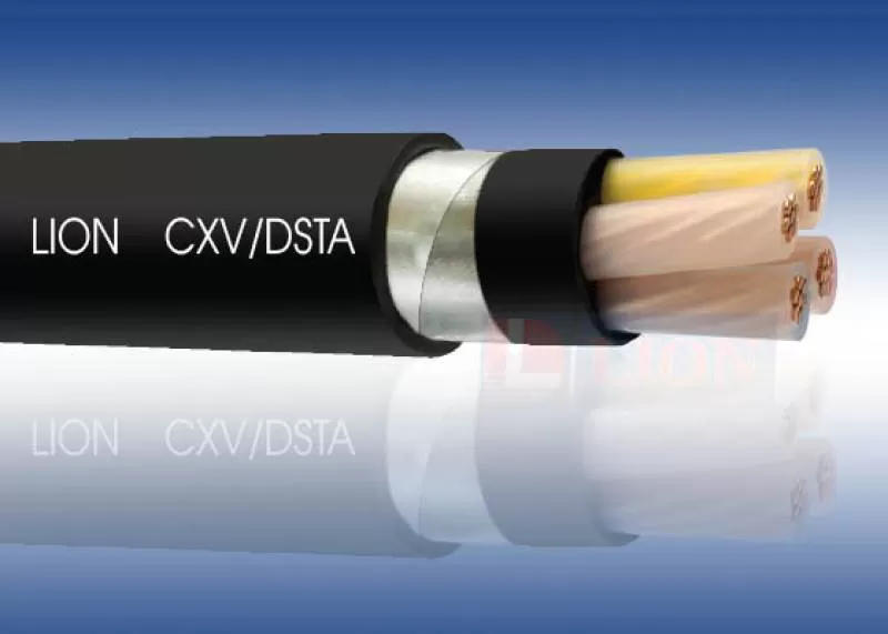 Cáp điện lực 1 lõi CXV màu đen LI: 25mm