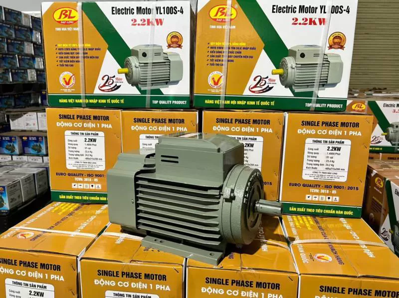 Động cơ điện Bảo Long 3.0 KW