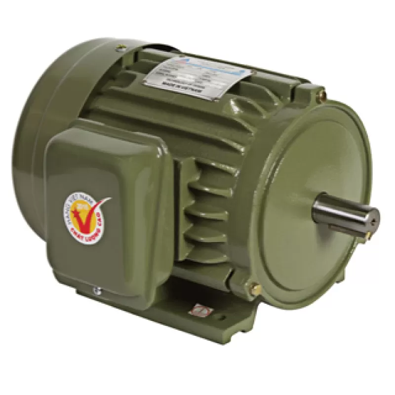 Động cơ điện vỏ gang chân đế Hồng Ký 3.0HP/380v/2800v 