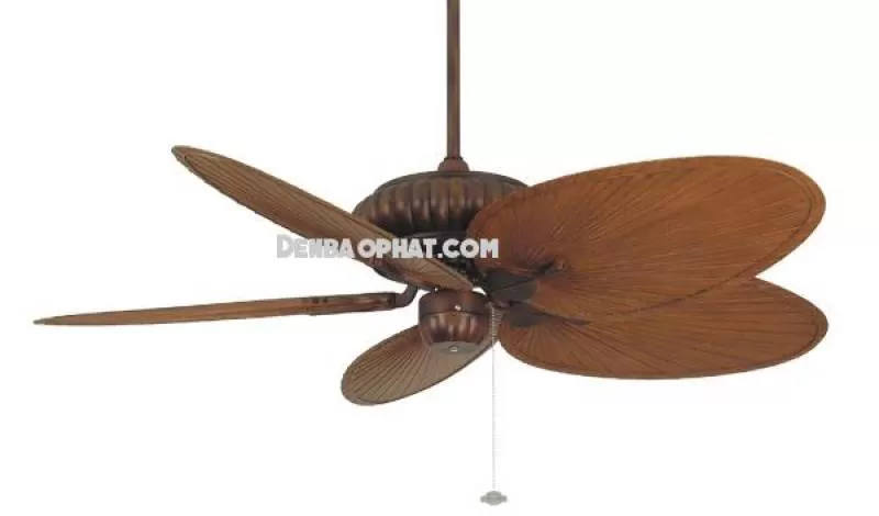 THE BELLERIA + BPP4BR