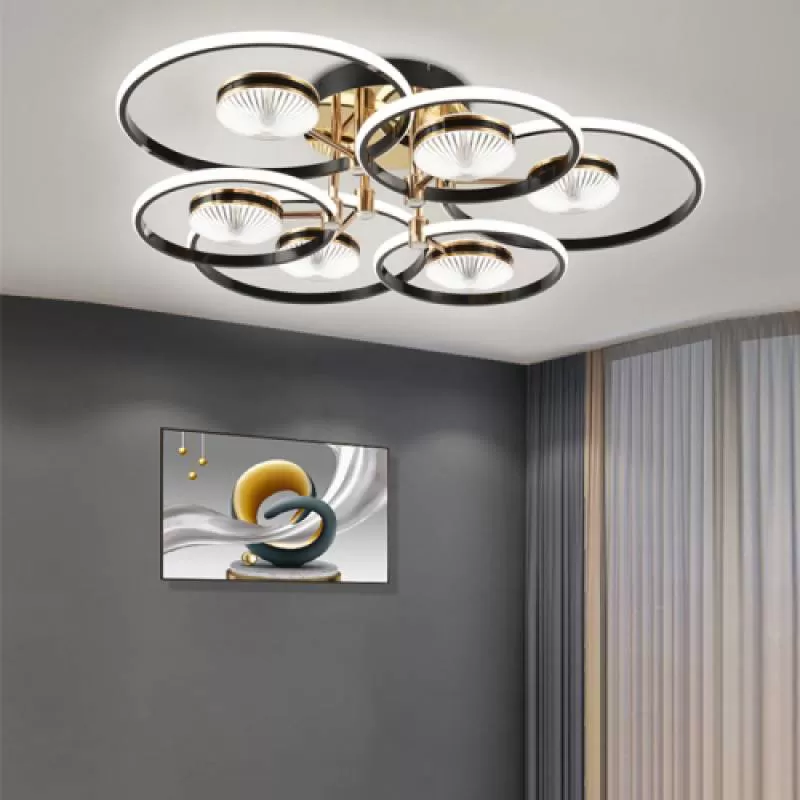 Đèn ốp trần 6 vòng tròn lớn mix 6 vòng tròn nhỏ WTL - 1380 6+6