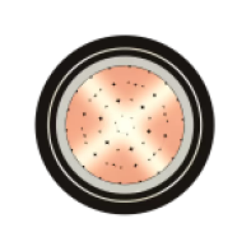 Dây cáp điện Cadisun, cáp đồng ngầm DATA 1x70