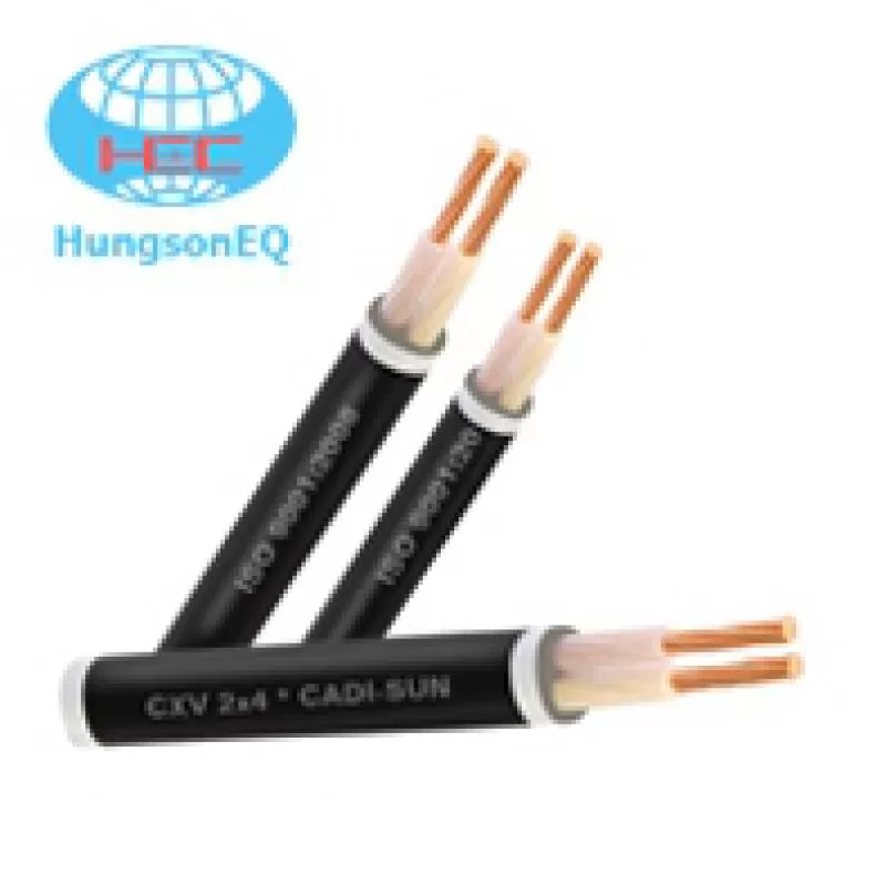 Cáp chống cháy FRN-CXV 2x6