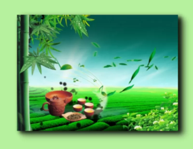 Tranh 3D PVC-TGI-ZS-P042