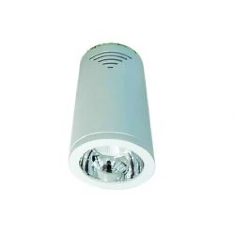 ĐÈN LED CHIẾU SÂU GẮN NỔI TRANG TRÍ 10W (DIB2105)