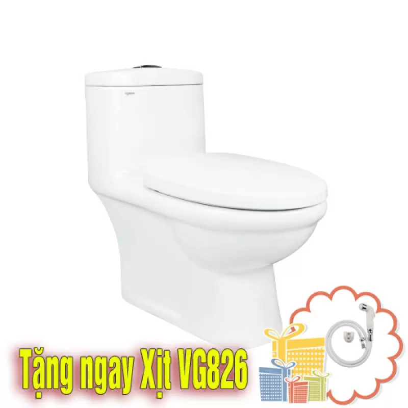 Bàn cầu két liền Viglacera BL5V