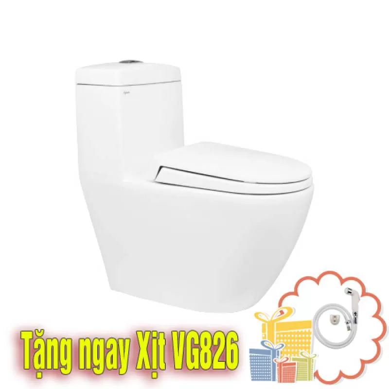 Bồn cầu két liền Viglacera V199 (BS199) 