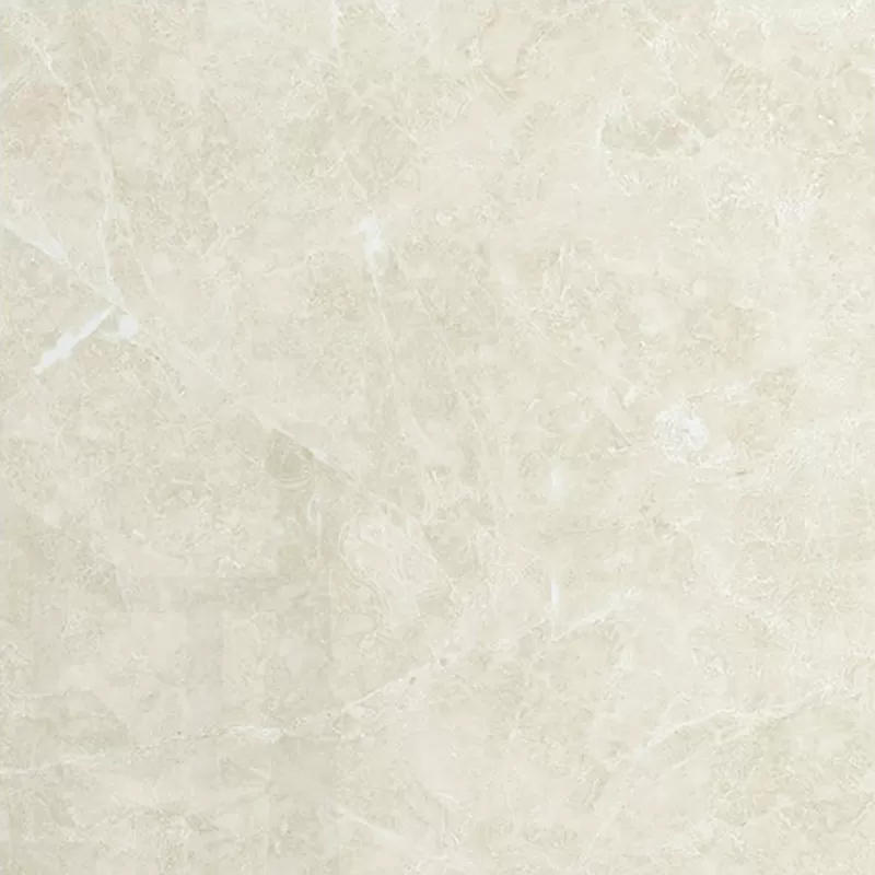 Gạch lát sàn Đồng Tâm DTD6060TRUONGSON005-FP 