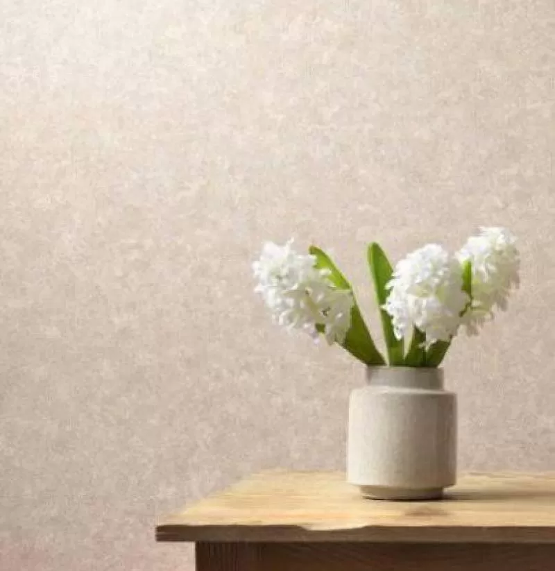 Giấy Dán Tường Châu Âu MS: 6338-02 