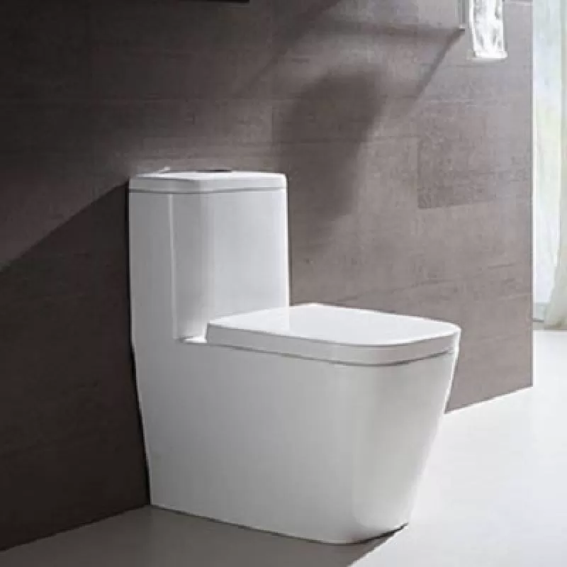 Bồn cầu một khối Jomoo 11195-2-2/31M-1