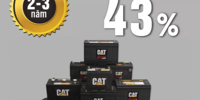 Ưu đãi đặc biệt cho Ắc quy Cat chính hãng