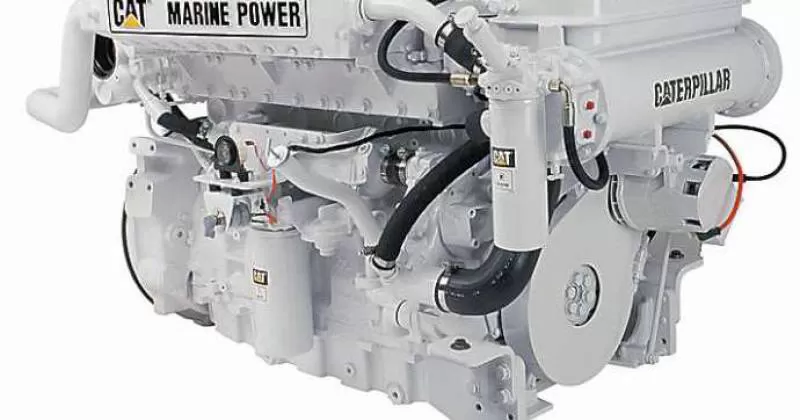 C12 - Phú Thái Cat