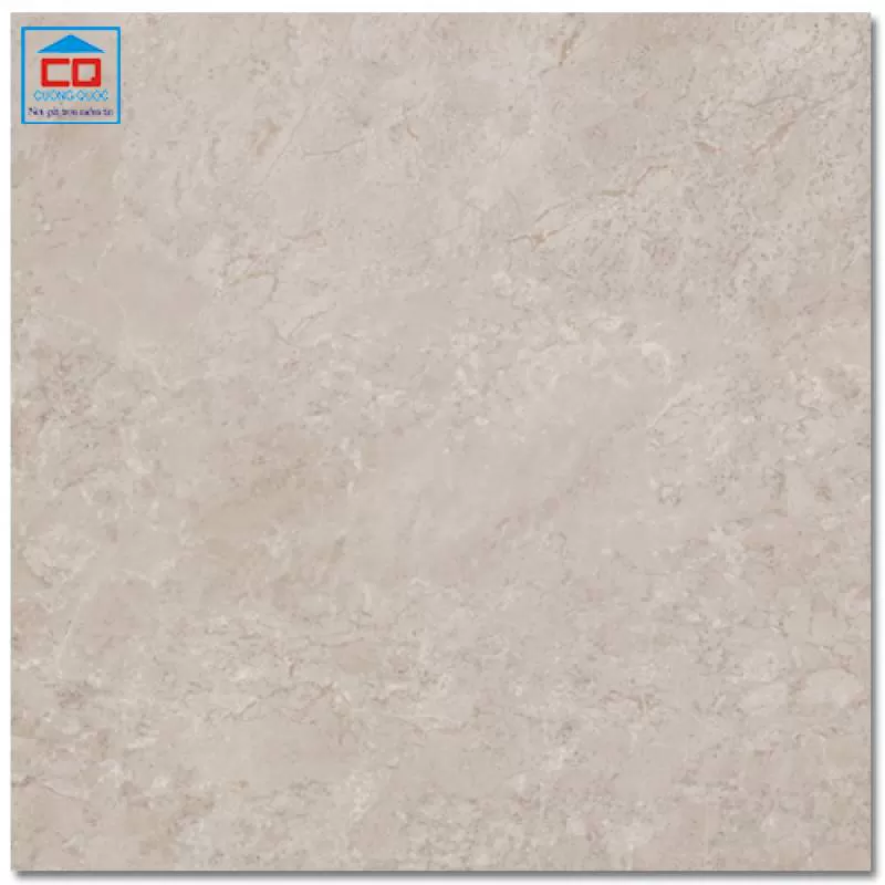 Gạch lát sàn granite Arizona 80x80 AZ9-GP8803