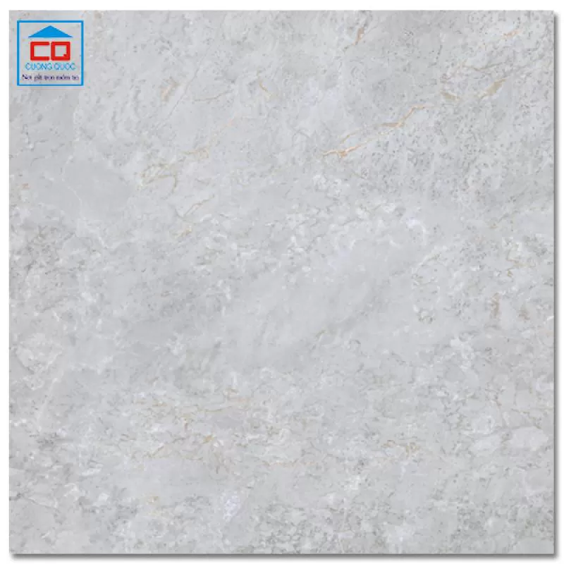 Gạch lát sàn granite Arizona 80x80 AZ9-GP8801