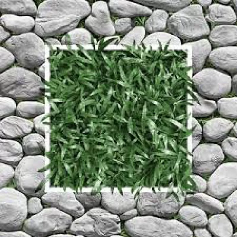 Gạch sân vườn cao cấp Viglacera SV404