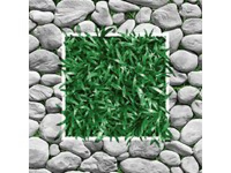 Gạch Viglacera lát sân vườn 400x400 SV405
