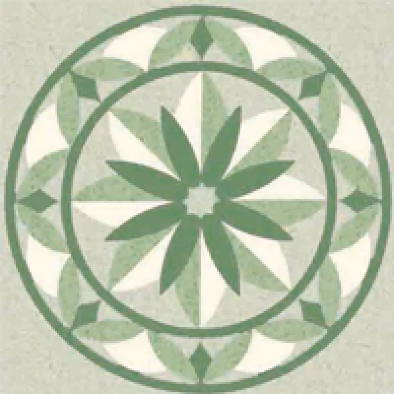 Gạch Đồng Tâm CATTL B12006