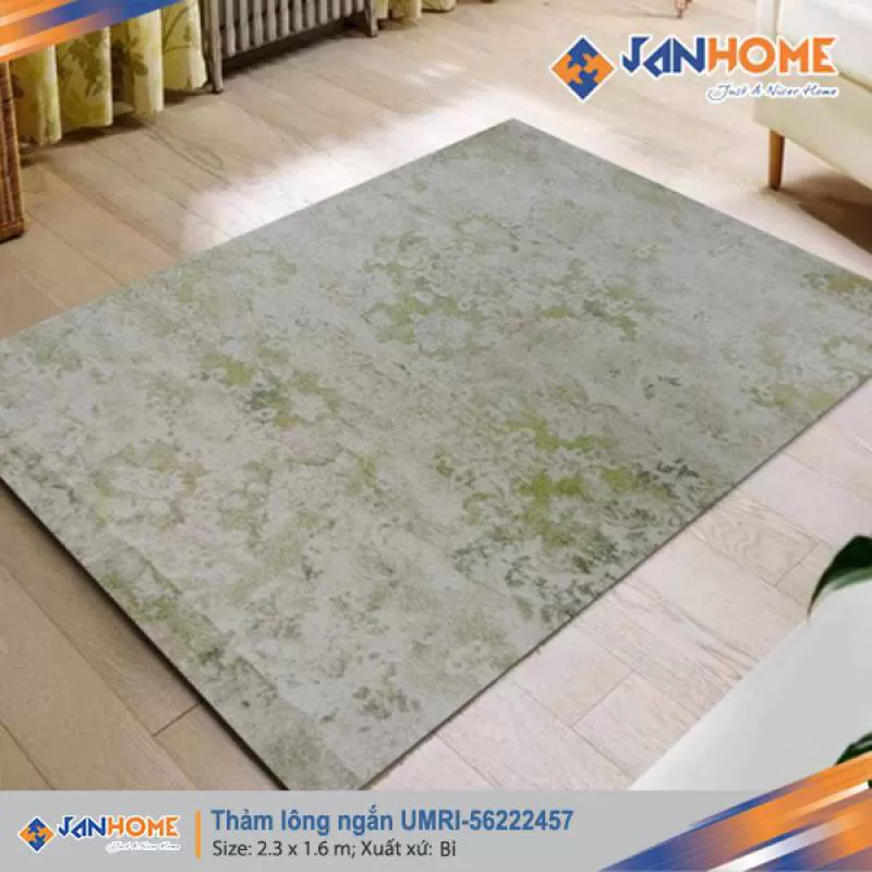 Thảm Bỉ lông ngắn Umri-56222457