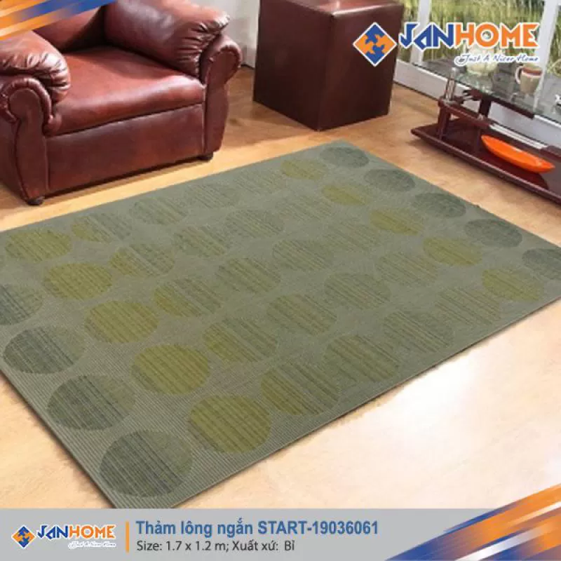 Thảm Bỉ lông ngắn START-19036061
